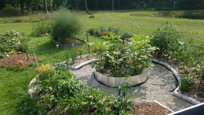 Early garden