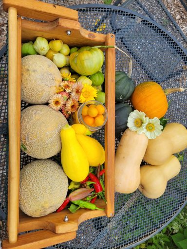 Harvest