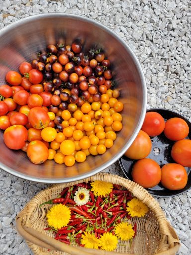 Harvest
