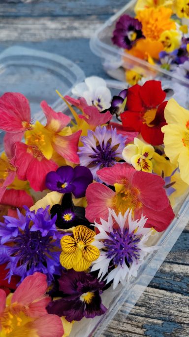 Edible flowers